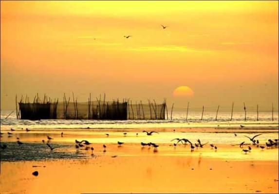 کاشت مو در بندرعباس 1 کاشت مو در بندرعباس