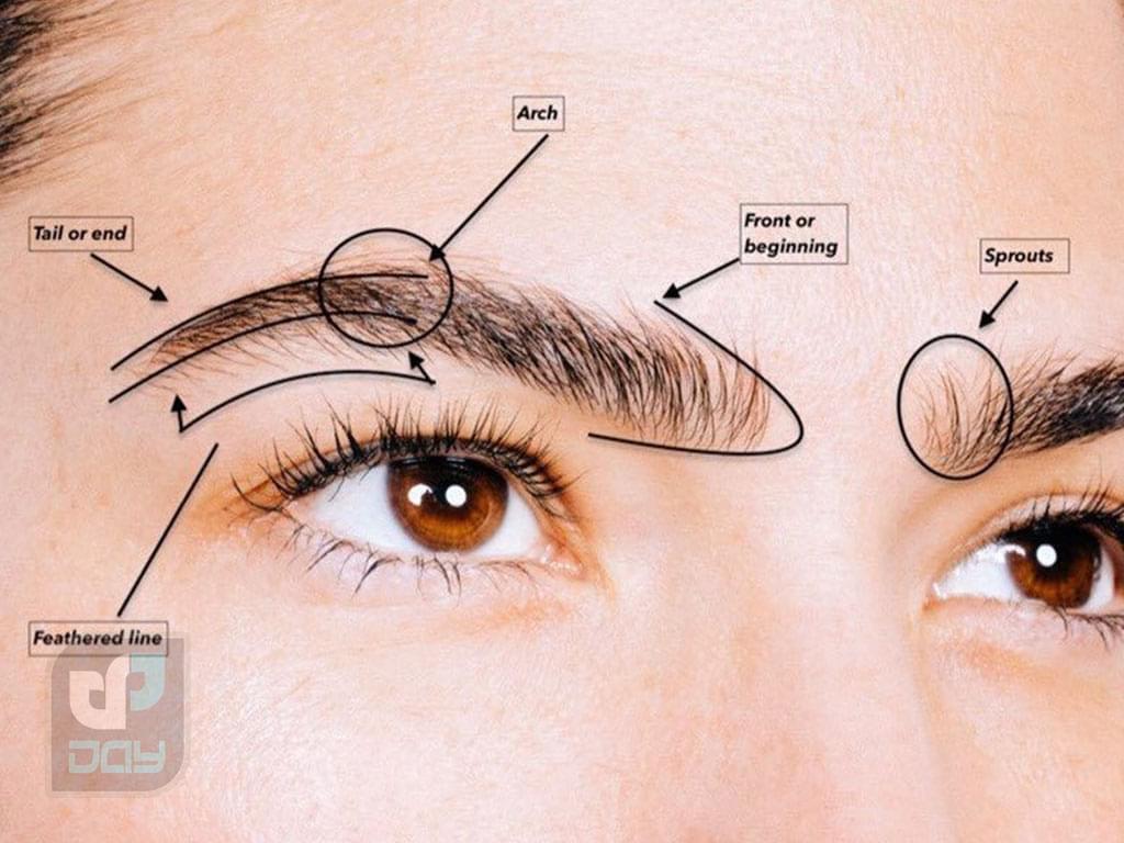 راهنمای مراحل کاشت ابرو 2 مراحل کاشت ابرو-1